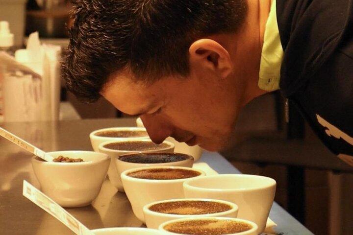 Panama Crafted Geisha kaffe smagning oplevelse
