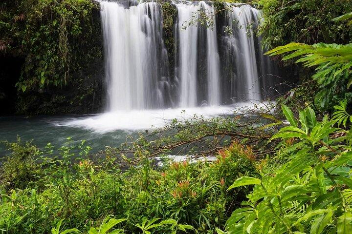 Route privée à Hana Rainforest & Waterfall Experience de Maui