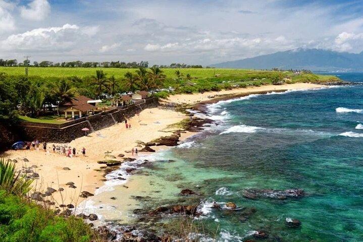 Strada privata per Hana Rainforest & Waterfall Experience da Maui