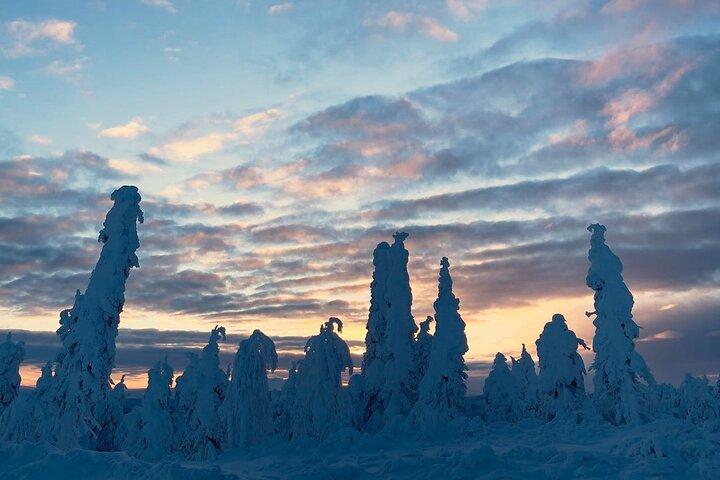 Excursão de um dia no Arctic Circle
