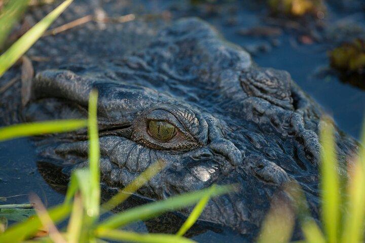 Tour nocturno por el Parque Nacional de Kakadu + crucero al atardecer en aguas amarillas
