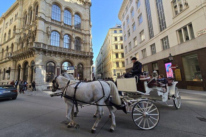 Fall in Love with Vienna in 3 Hours- Small Group