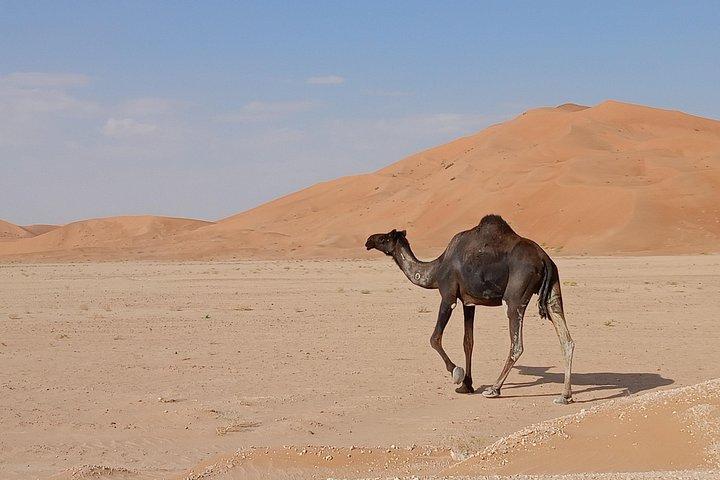 Desert Sunset Tour VisitSalalah