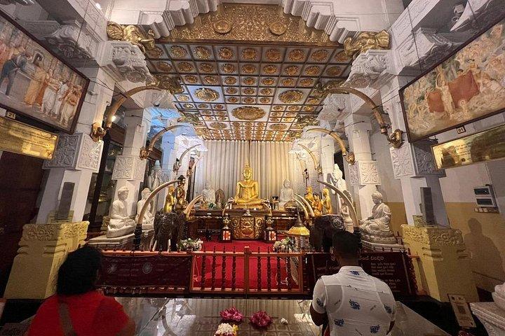 10 Days Sri Lanka Tour with Sudath