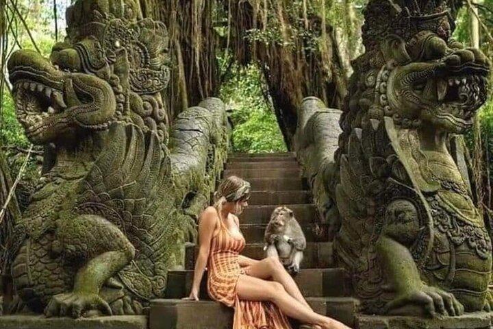 Bali Ubud Private Costomized Tour - Explore Bali da sua maneira