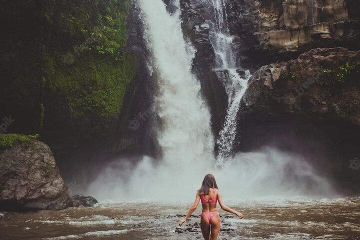 Bali Ubud Private Costomized Tour - Explore Bali da sua maneira
