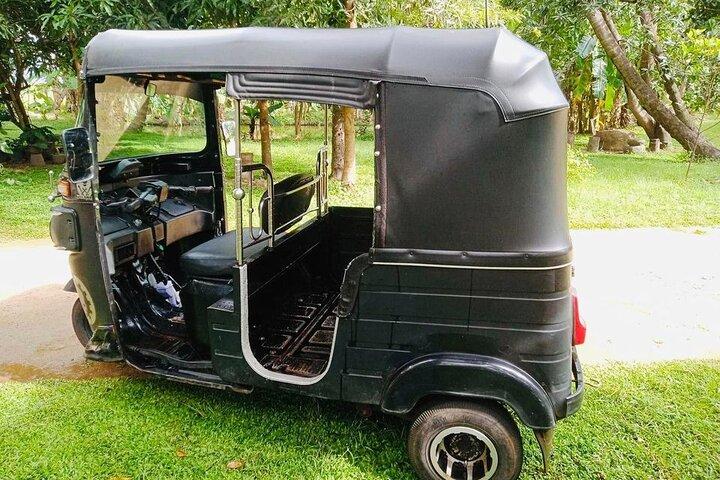 Excursion incroyable d'une journée Tuk-Tuk à Ella