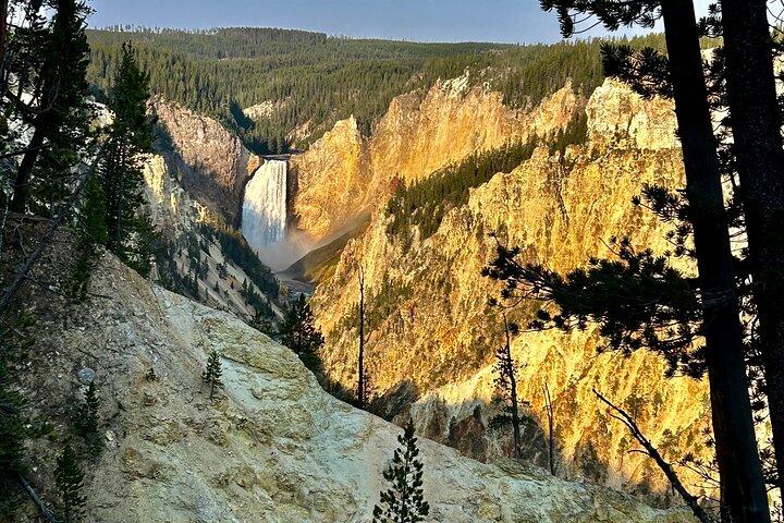 Yellowstone Hot Spots Lower Loop Tour vanuit Cody Wy!