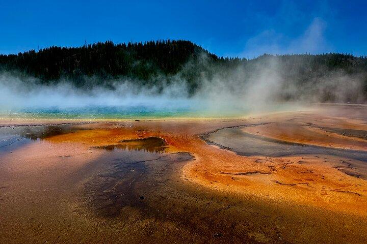 Halve dag Yellowstone “Hot Spots” aanbiedingen van West Yellowstone