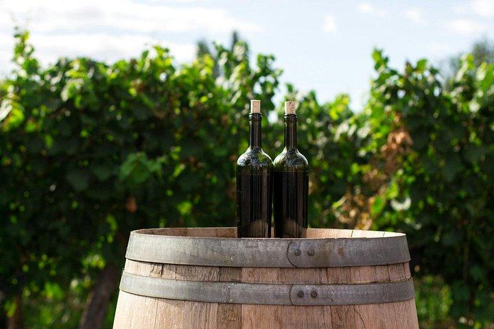 Prag Private vin tur
