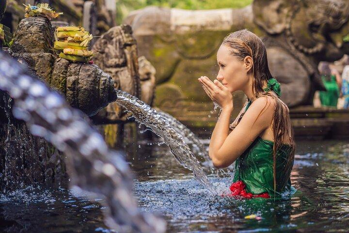 Privat fuld dagstur i Ubud Bali
