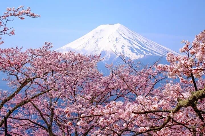 Scenic Fuji Escape: Hakone, Peace Park & More by Green Plate Car