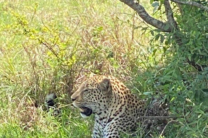Safari de 3 días y 2 noches en Masai Mara Kenia