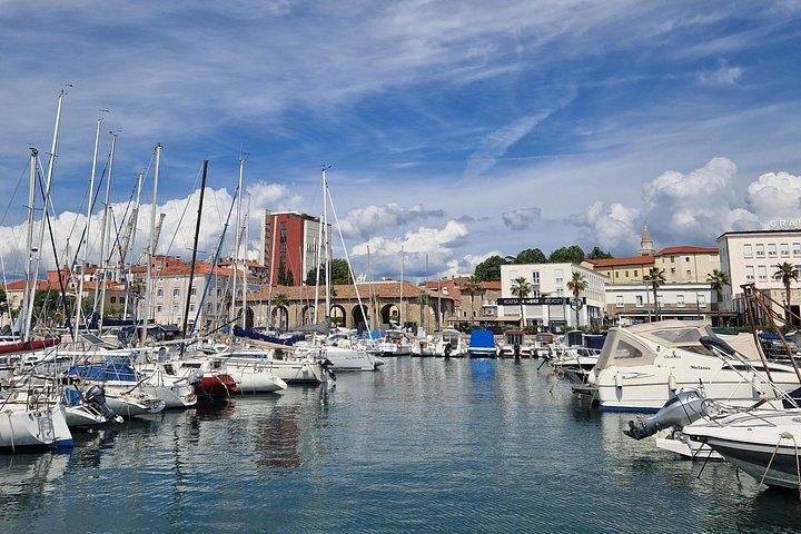 Experience Slovenian Coast line with Wine Tasting from Trieste