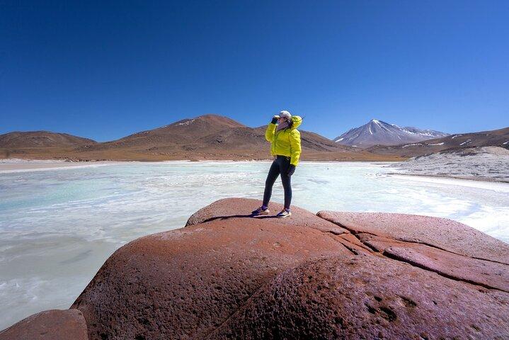 Ganztagestour Piedras Rojas Altiplanic Lagoons Chaxa Lagoon