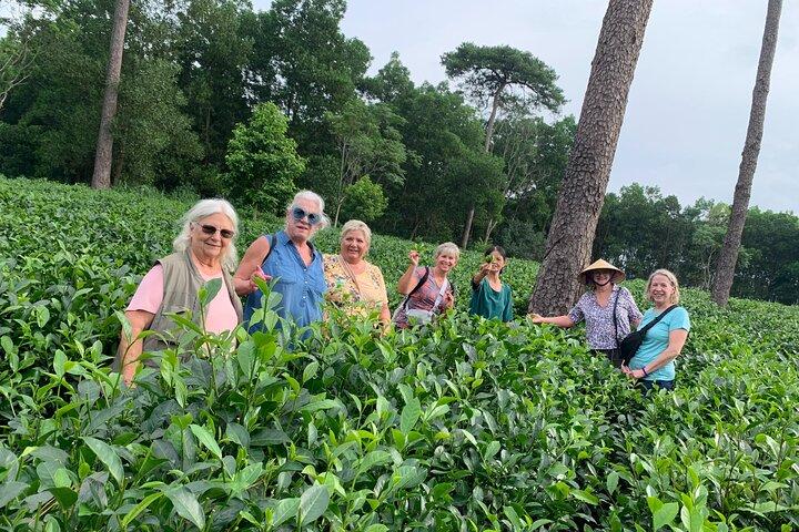 Bavi Eco-tour: Dompel je onder in het authentieke dorpsleven buiten Hanoi