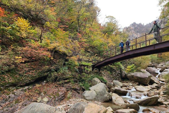 富士山での1日ハイキングソウルからの雪岳山国立公園（昼食込み）