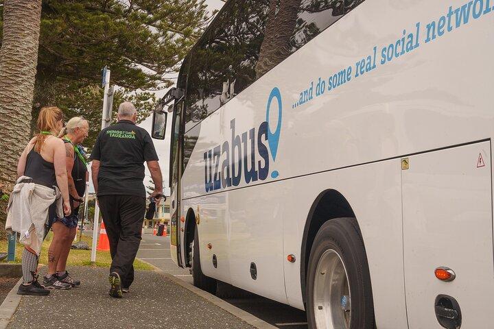 TAURANGA City & Scenic Sightseeing Tour di 2 ore in autobus locale