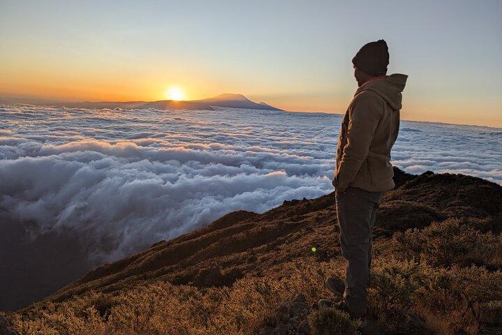 Excursión de un día a Lemosho Route