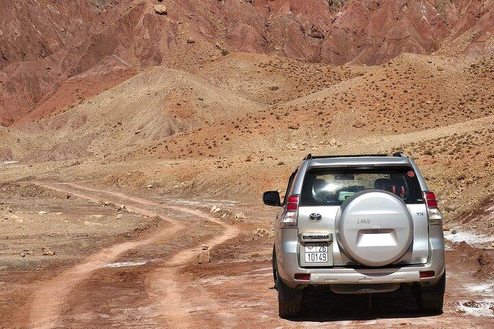 Fint Oasis & Aitbenhaddou From マラケシュ