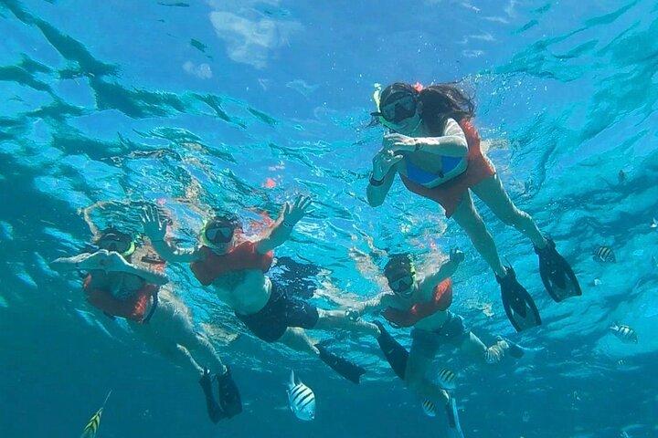 Alugar um iate privado de 46ft em Cancún