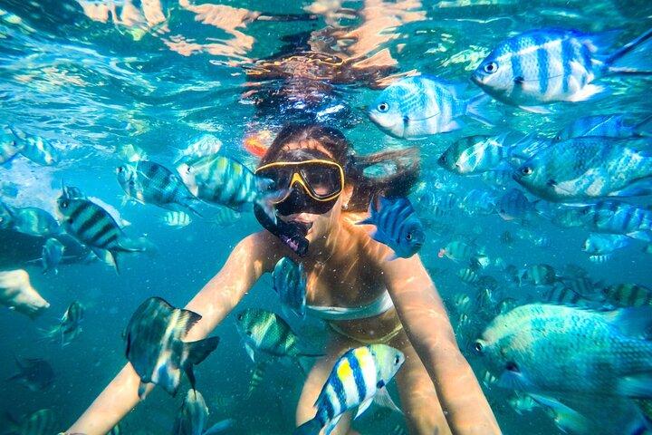 Ko Samet 5 eller 6 Islands snorkling tur med frokost mulighed