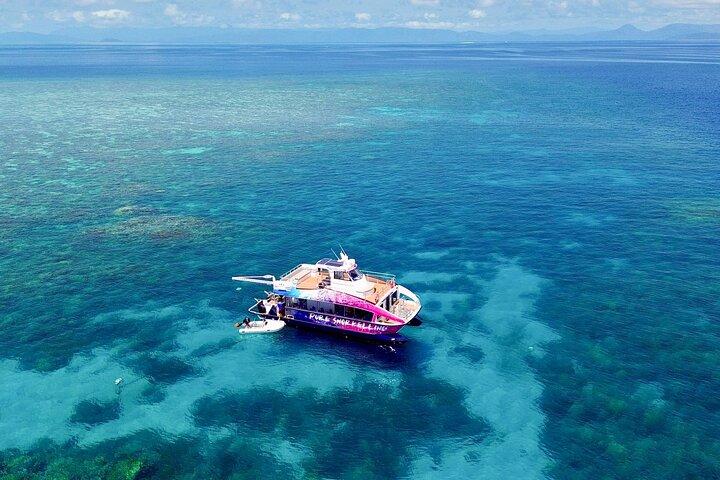 Halbtägige Great Barrier Reef Schnorcheltour