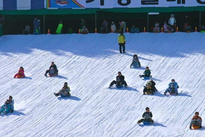 Tour en trineo por el valle de hielo y la nieve de Eobi desde Seúl