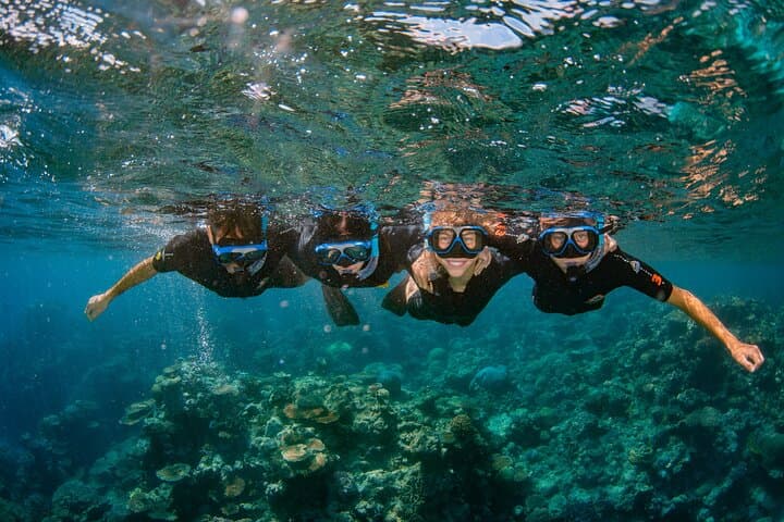 Cairns: Best Value All-inclusive Reef Trip With Scuba Dive