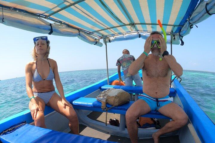 Wasini Dolphin and Snorkeling Excursion