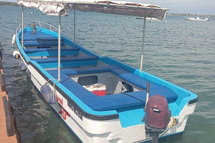 Wasini Dolphin and Snorkeling Excursion