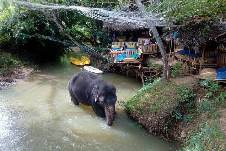 Dambulla und Sigiriya Tagestour von Colombo oder Negombo