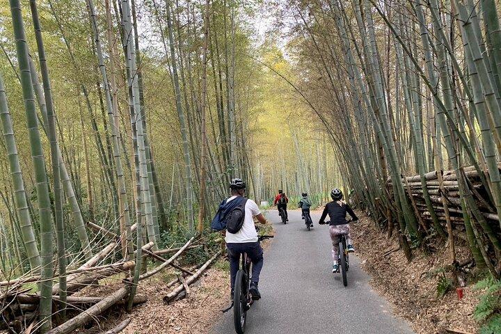 Recorrido en bicicleta eléctrica por Fushimi Inari y Gion por Kioto (recogida en el hotel incluida)