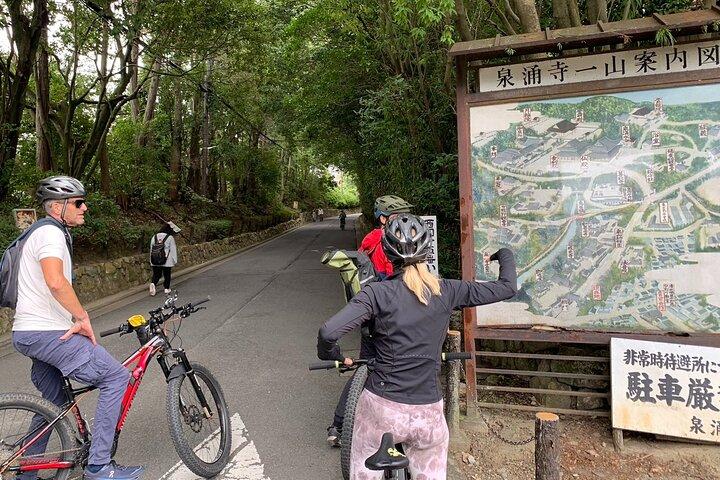 Recorrido en bicicleta eléctrica por Fushimi Inari y Gion por Kioto (recogida en el hotel incluida)