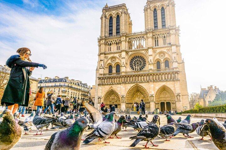 Tour Notre-Dame met audiogids (geen ticket)