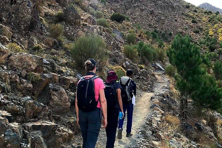 Atlas Mountains : Ourika Valley Day Trip from Marrakech
