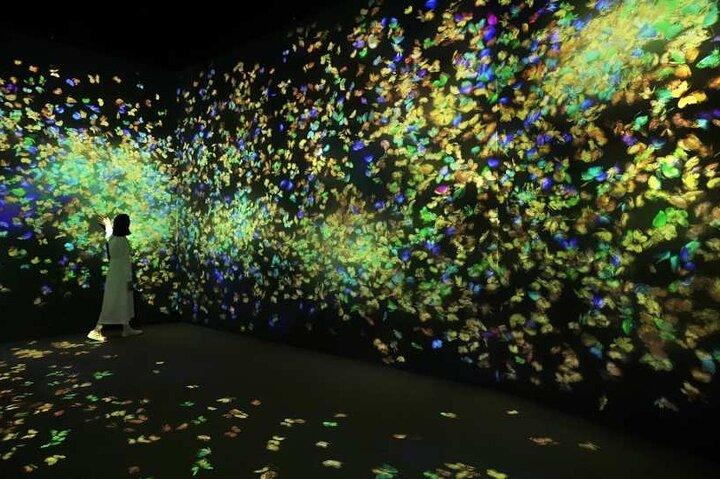 チームラボフォレスト福岡没入型アート体験チケット