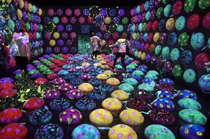 TeamLab Forest Fukuoka een Immersive Art Experience Ticket
