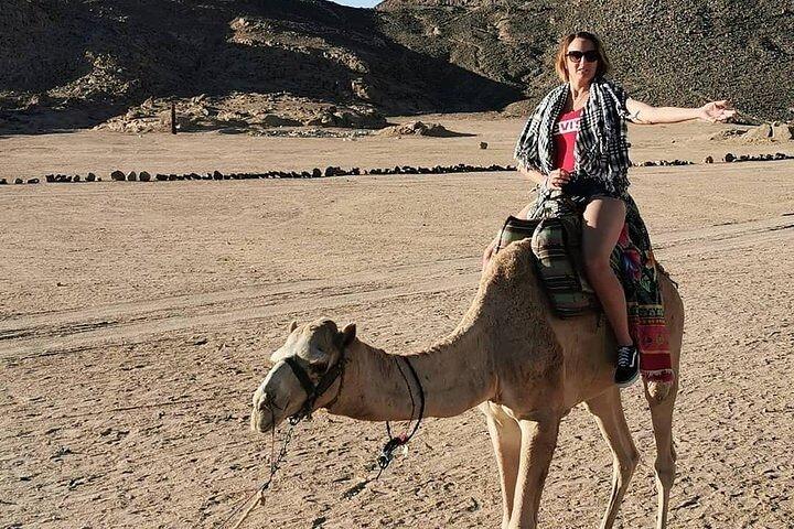 Hurghada Safari Trip Quad, Buggy, Jeep, Kamel, Abendessen und Show