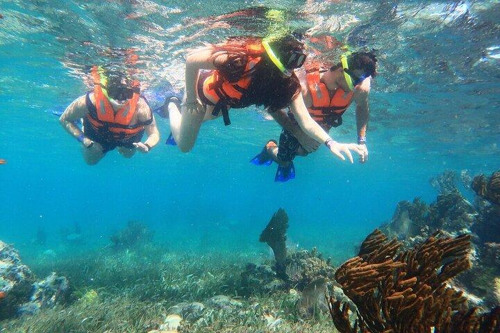 ATV Adventure Combo med snorkling, Ziplines, Cenote och lunch