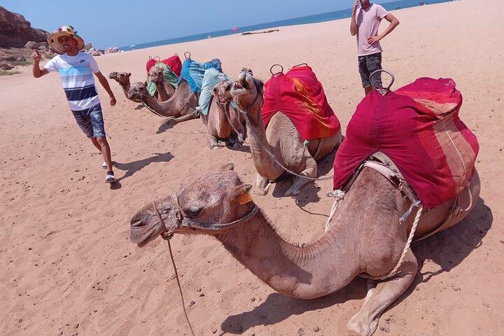 カサブランカからマラケシュへの日帰り旅行