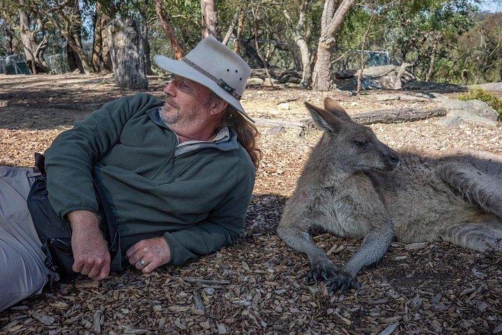 Equitazione, koala e canguri - Wild Australia: tour privato