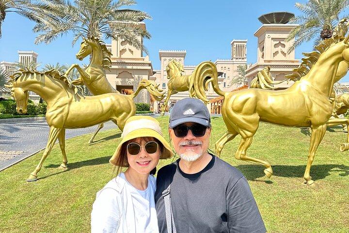 Tour di mezza giornata della città di Dubai