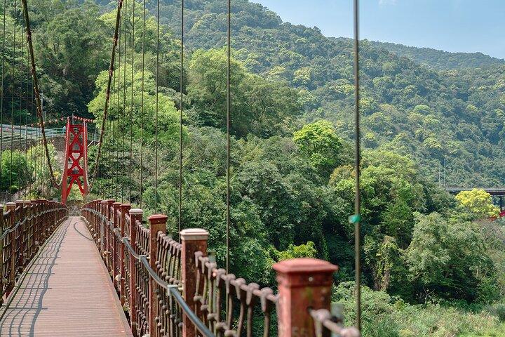 Wulai natuurtour: Schilderachtige trein, watervallen & inheemse keuken