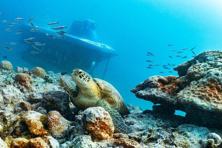 Visite sous-marine unique à l'île Maurice