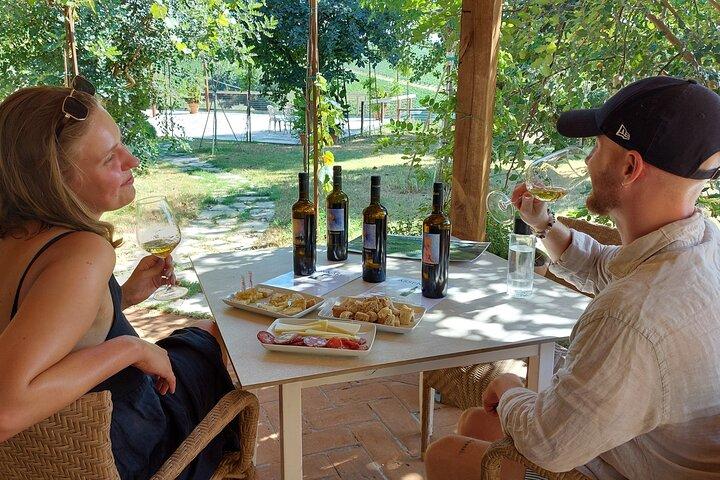 Biodynamische wijnproeverij met producent in Vinci