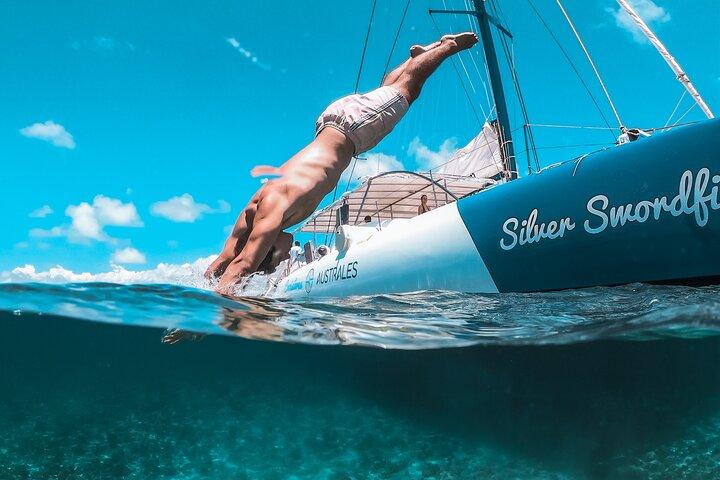 Mauritius Zuidoost Catamaran – Ile aux Cerfs, Waterval & BBQ