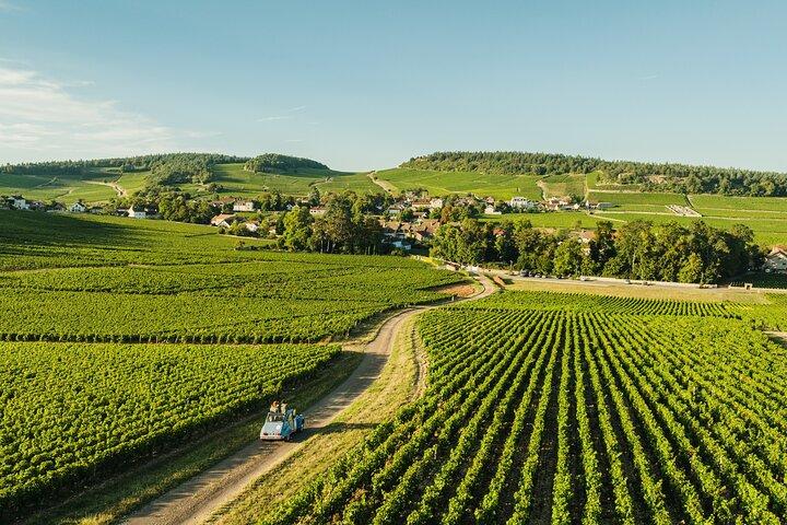 1-day guided tour on the Burgundy Wine Route in a classic car