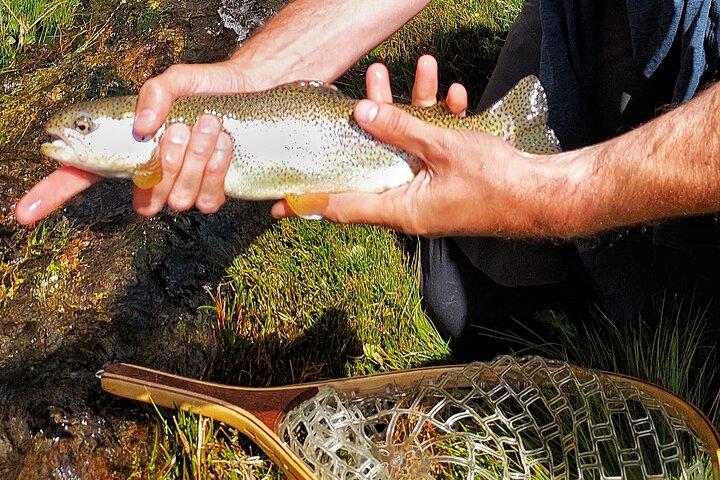 Excursion guidée de pêche à la mouche à l'Estancia La Carrera