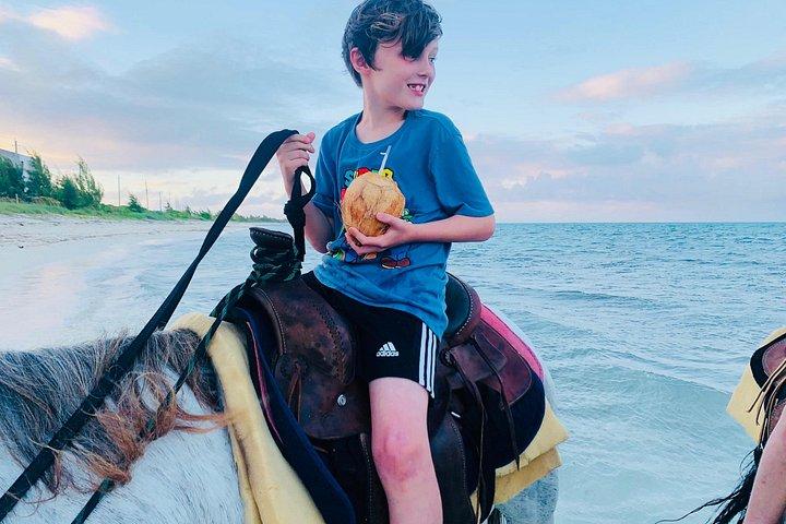 Shared Horseback Riding in Turks and Caicos